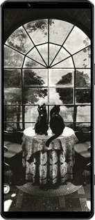 Силиконовый чехол Череп и коты для Sony Xperia 1 IV - 6432u-2787 изображение 