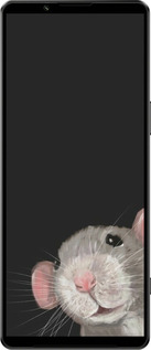 Силиконовый чехол The Peeking Rat для Sony Xperia 1 IV - 6442u-2787 изображение 