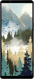 Силиконовый чехол С изображением лесного пейзажа для Sony Xperia 1 IV - 6548u-2787 изображение 