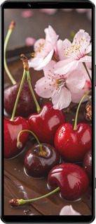 Силиконовый чехол Вишня в шоколаде для Sony Xperia 1 IV - 6698u-2787 изображение 