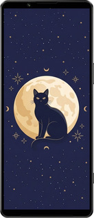 Силиконовый чехол Cute Cat Celestial/Witchy для Sony Xperia 1 IV - 6787u-2787 изображение 