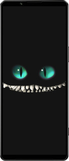 Силиконовый чехол Чеширский кот для Sony Xperia 1 IV - 689u-2787 изображение 