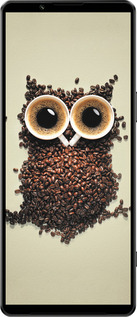 Силиконовый чехол Сова из кофе для Sony Xperia 1 IV - 777u-2787 изображение 