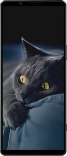 Силиконовый чехол Дымчатый кот для Sony Xperia 1 IV - 825u-2787 изображение 