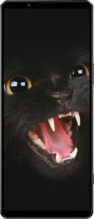 Силіконовий чехол Чорна кішка для Sony Xperia 1 IV - 932u-2787 изображение 