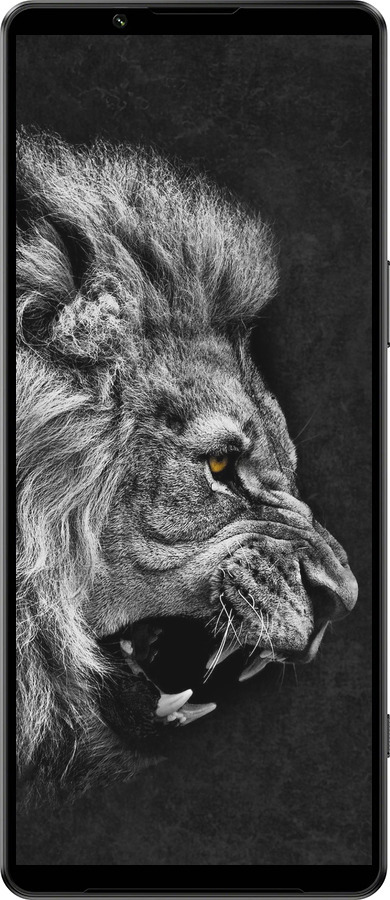 Силиконовый чехол Лев для Sony Xperia 1 IV - 1080u-2787 изображение 