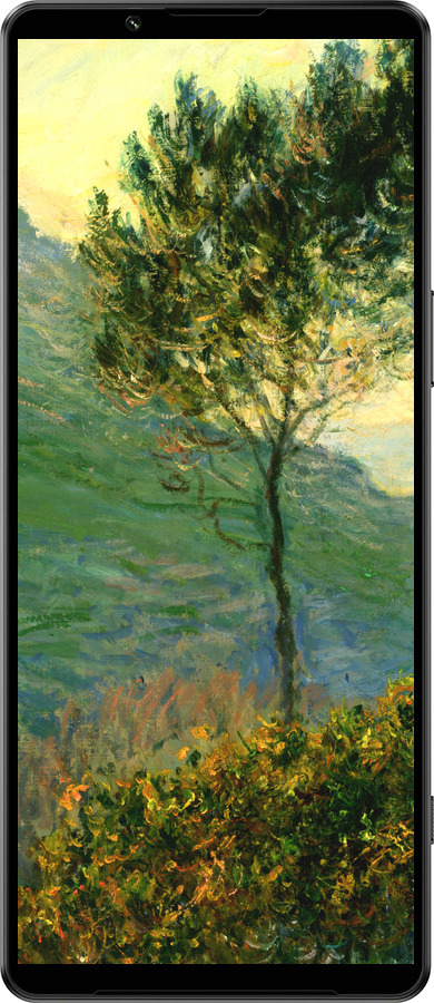 Силіконовий чехол Клод Моне для Sony Xperia 1 IV - 1193u-2787 изображение 