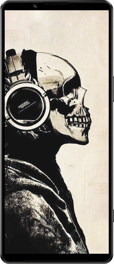 Силиконовый чехол Скелет-меломан v2 для Sony Xperia 1 IV - 1200u-2787 изображение 