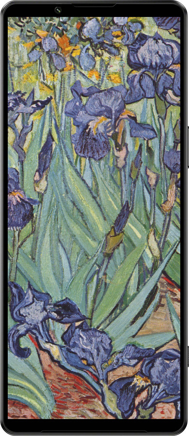 Силиконовый чехол Винсент Ван Гог. Ирисы для Sony Xperia 1 IV - 161u-2787 изображение 