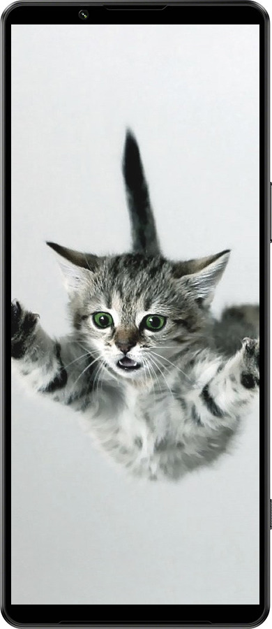 Силиконовый чехол Летящий котёнок для Sony Xperia 1 IV - 2322u-2787 изображение 