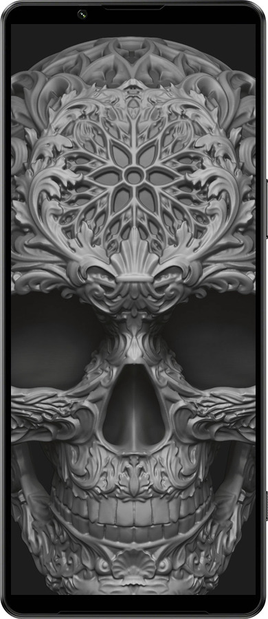 Силиконовый чехол skull-ornament для Sony Xperia 1 IV - 4101u-2787 изображение 