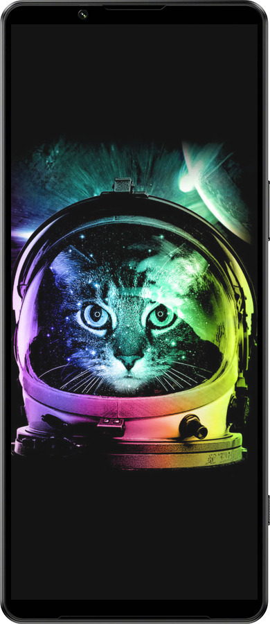 Силиконовый чехол Кот-астронавт для Sony Xperia 1 IV - 4154u-2787 изображение 