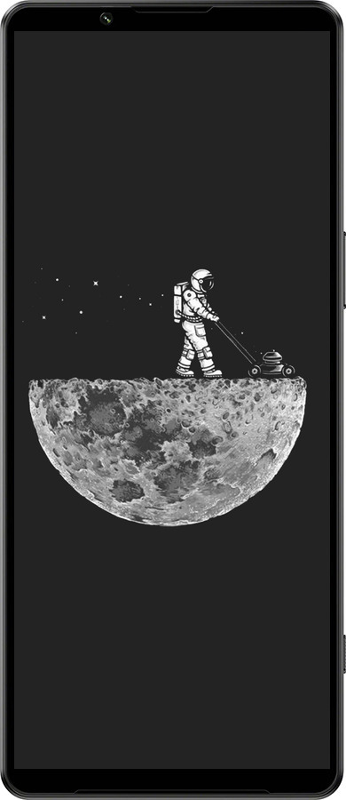 Силиконовый чехол Moon in dark для Sony Xperia 1 IV - 4176u-2787 изображение 