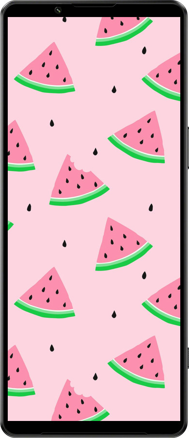 Силиконовый чехол Розовый арбуз для Sony Xperia 1 IV - 4314u-2787 изображение 