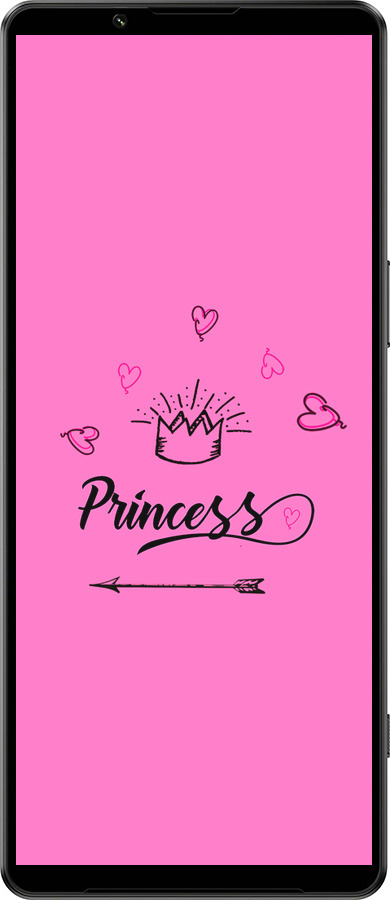 Силиконовый чехол Princess для Sony Xperia 1 IV - 4361u-2787 изображение 