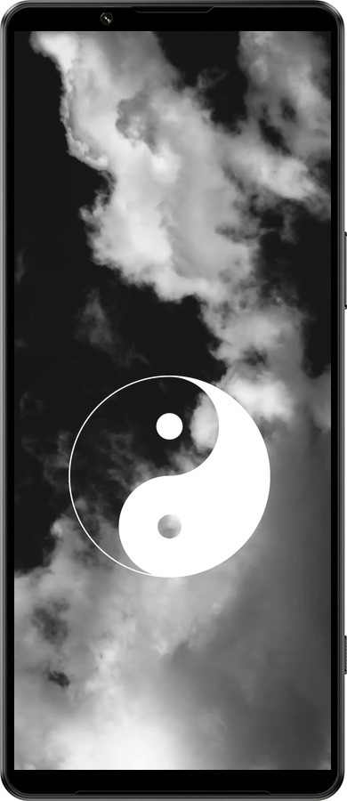 Силиконовый чехол Инь и Янь для Sony Xperia 1 IV - 4389u-2787 изображение 