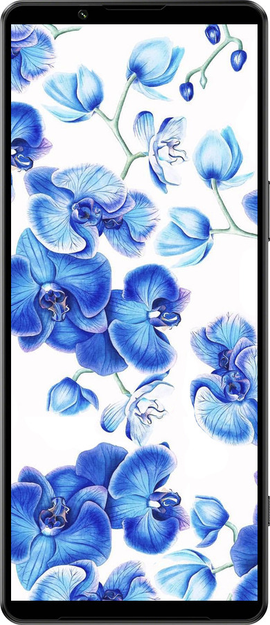 Силиконовый чехол Голубые орхидеи для Sony Xperia 1 IV - 4406u-2787 изображение 