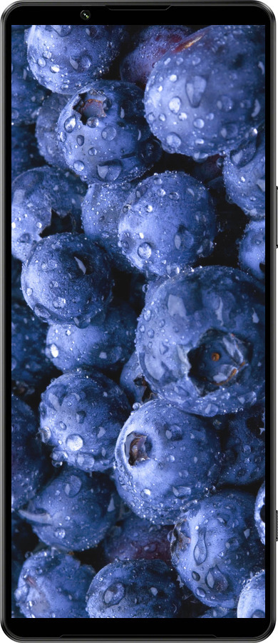 Силиконовый чехол Голубика для Sony Xperia 1 IV - 4459u-2787 изображение 