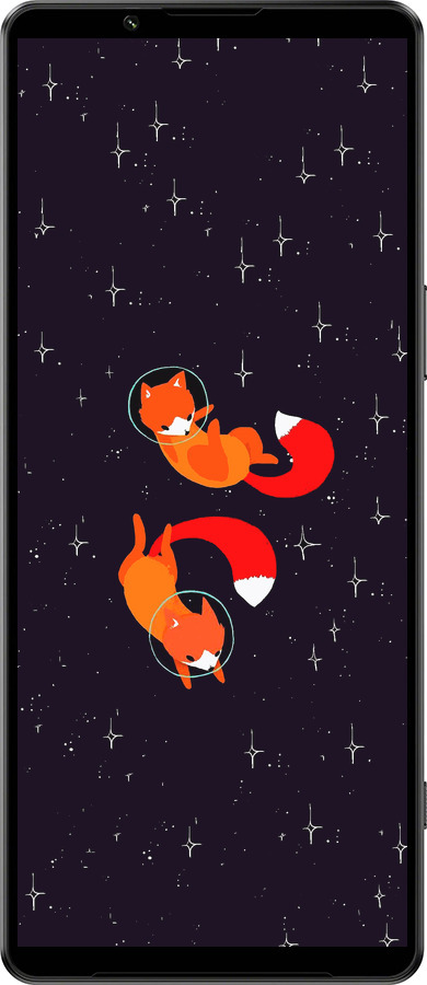 Силиконовый чехол Лисички в космосе для Sony Xperia 1 IV - 4519u-2787 изображение 