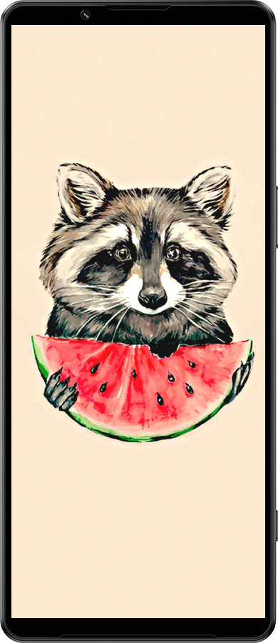 Силиконовый чехол Енотик с арбузом для Sony Xperia 1 IV - 4605u-2787 изображение 