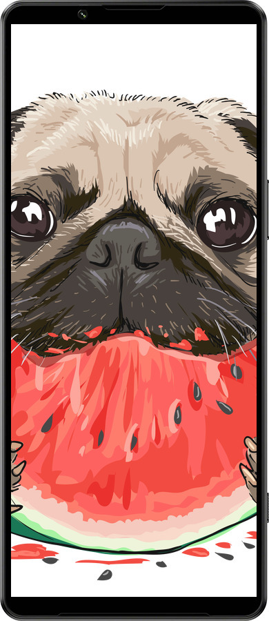 Силиконовый чехол Мопс и арбуз для Sony Xperia 1 IV - 4665u-2787 изображение 