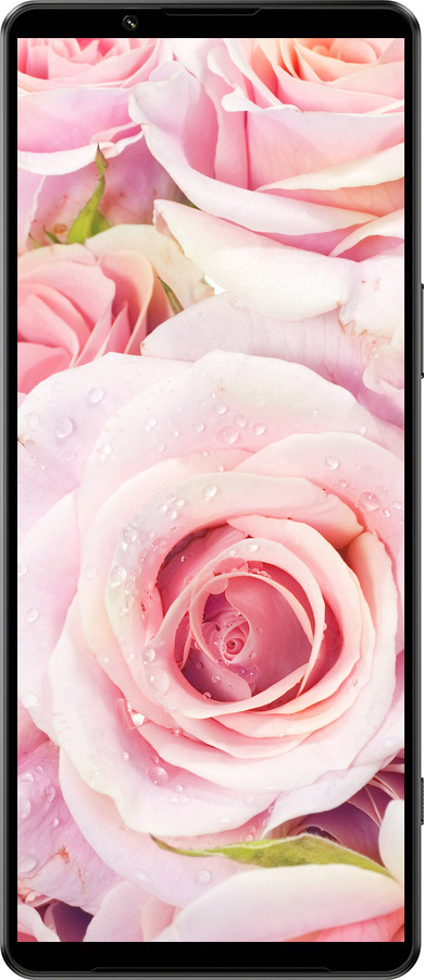 Силиконовый чехол Розы для Sony Xperia 1 IV - 525u-2787 изображение 