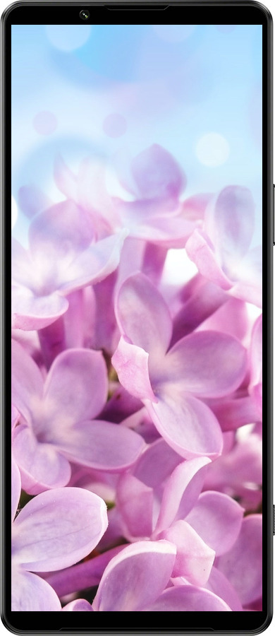 Силиконовый чехол Сирень для Sony Xperia 1 IV - 527u-2787 изображение 