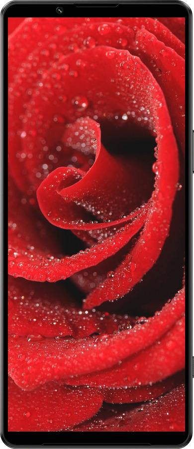 Силиконовый чехол Красная роза для Sony Xperia 1 IV - 529u-2787 изображение 