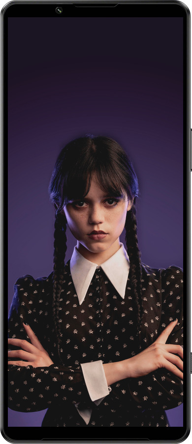 Силиконовый чехол Wednesday v3 для Sony Xperia 1 IV - 5517u-2787 изображение 