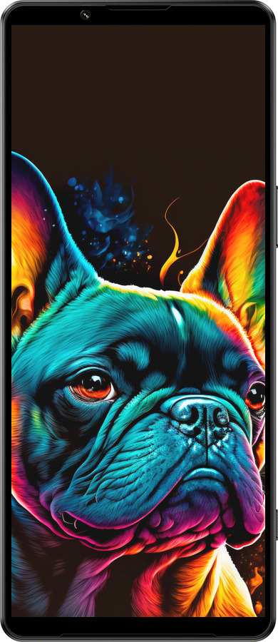 Силиконовый чехол Яркий бульдог для Sony Xperia 1 IV - 5547u-2787 изображение 