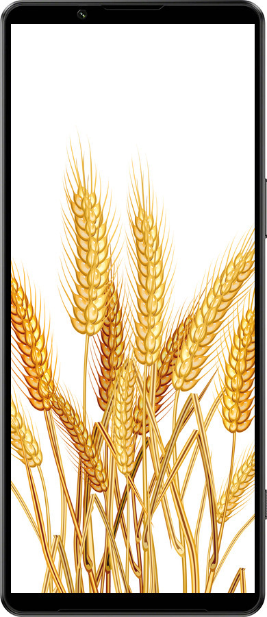 Силиконовый чехол Колоски пшеници для Sony Xperia 1 IV - 5866u-2787 изображение 