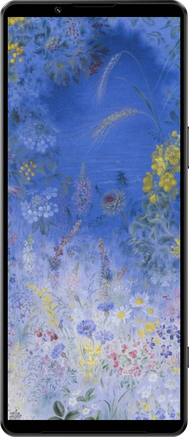 Силиконовый чехол Билокур для Sony Xperia 1 IV - 5908u-2787 изображение 