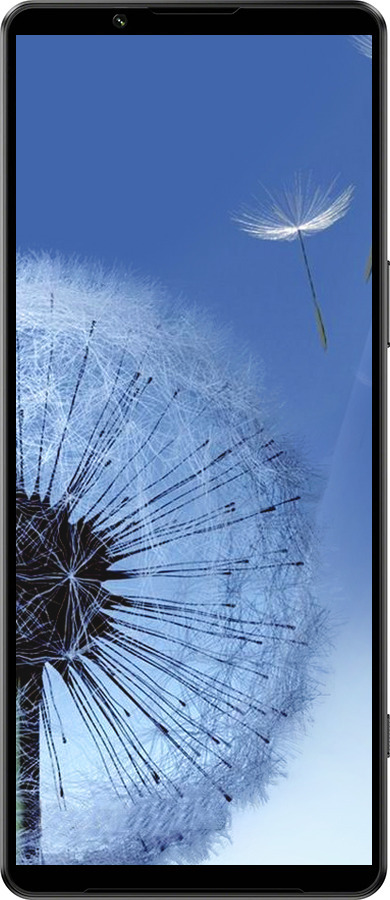 Силиконовый чехол Одуванчик для Sony Xperia 1 IV - 6005u-2787 изображение 