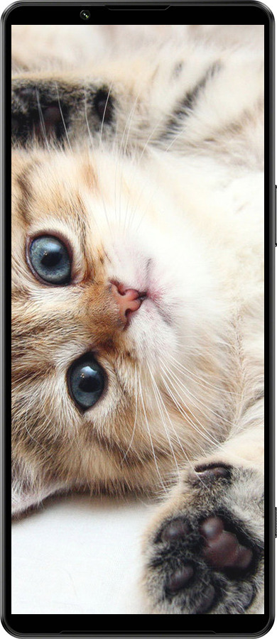 Силиконовый чехол Котик для Sony Xperia 1 IV - 6024u-2787 изображение 
