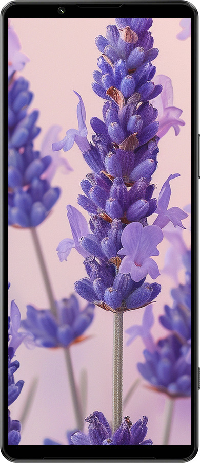 Силиконовый чехол Лаванда для Sony Xperia 1 IV - 6037u-2787 изображение 