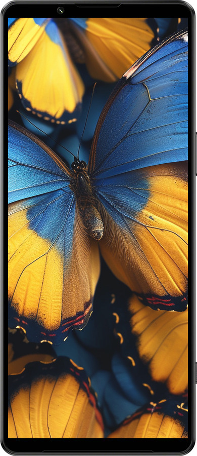 Силіконовий чехол Жовто-блакитні метелики для Sony Xperia 1 IV - 6046u-2787 изображение 