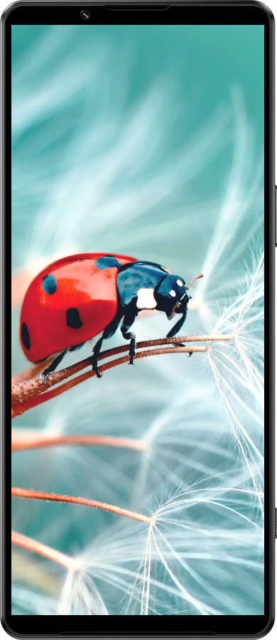 Силиконовый чехол Божья коровка для Sony Xperia 1 IV - 6049u-2787 изображение 