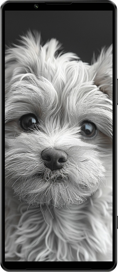 Силиконовый чехол Мальтипу на чорном фоне для Sony Xperia 1 IV - 6156u-2787 изображение 