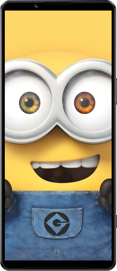 Силиконовый чехол Миньон для Sony Xperia 1 IV - 6389u-2787 изображение 