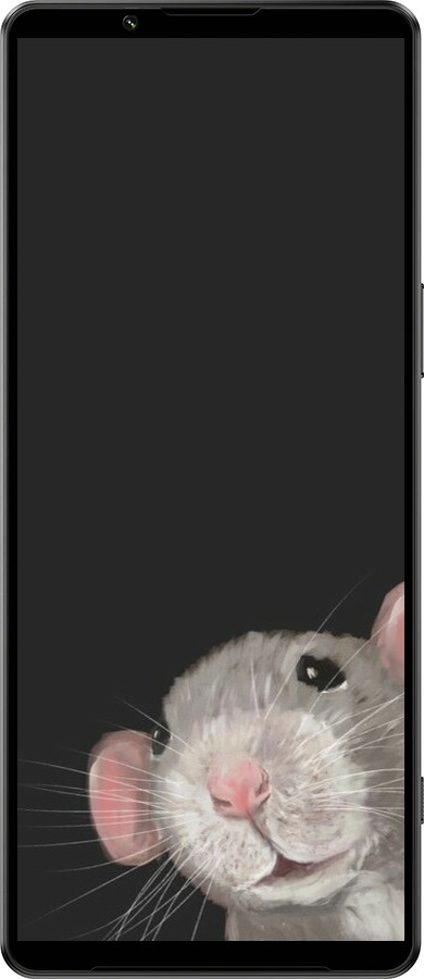 Силиконовый чехол The Peeking Rat для Sony Xperia 1 IV - 6442u-2787 изображение 