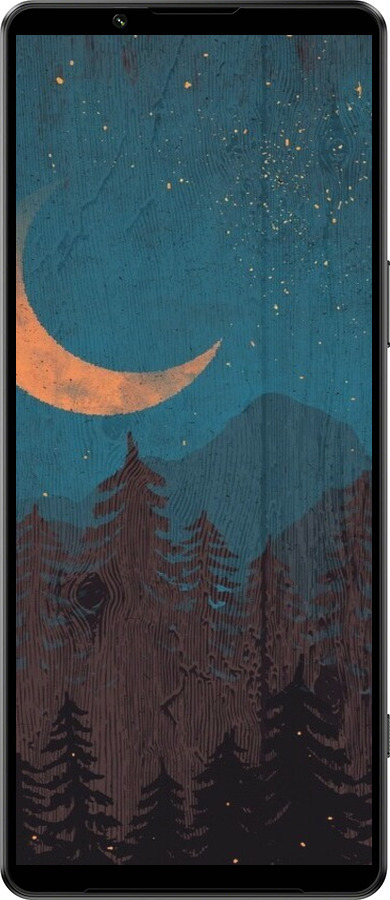 Силиконовый чехол Звездный лес для Sony Xperia 1 IV - 6480u-2787 изображение 