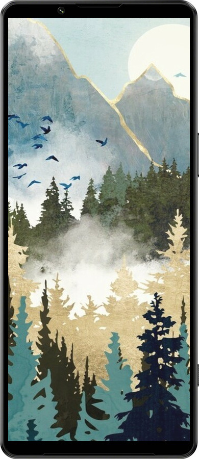 Силиконовый чехол С изображением лесного пейзажа для Sony Xperia 1 IV - 6548u-2787 изображение 