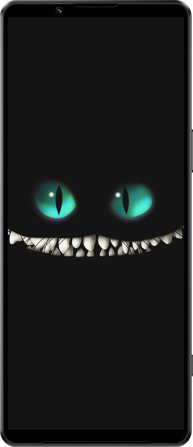 Силиконовый чехол Чеширский кот для Sony Xperia 1 IV - 689u-2787 изображение 