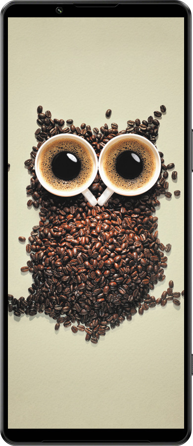 Силиконовый чехол Сова из кофе для Sony Xperia 1 IV - 777u-2787 изображение 