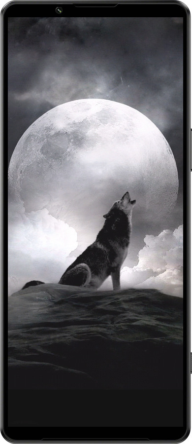 Силиконовый чехол Воющий волк для Sony Xperia 1 IV - 934u-2787 изображение 