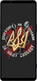 Силиконовый чехол Свобода для Sony Xperia 1 VI - 1157u-3975 изображение 