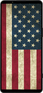 Силиконовый чехол Флаг США для Sony Xperia 1 VI - 395u-3975 изображение 