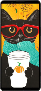 Силіконовий чехол Осінній кіт для Sony Xperia 1 VI - 4026u-3975 изображение 