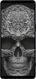 Силиконовый чехол skull-ornament для Sony Xperia 1 VI - 4101u-3975 изображение 