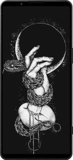 Силиконовый чехол Змея в руке для Sony Xperia 1 VI - 4149u-3975 изображение 